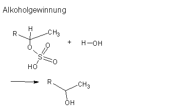 Alkoholgewinnung