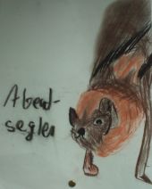 Abendsegler