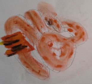 Glattnatter