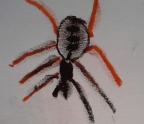 Sechsaugenspinne