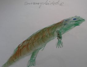 Smaragdeidechse