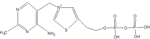 Thiaminphosphat